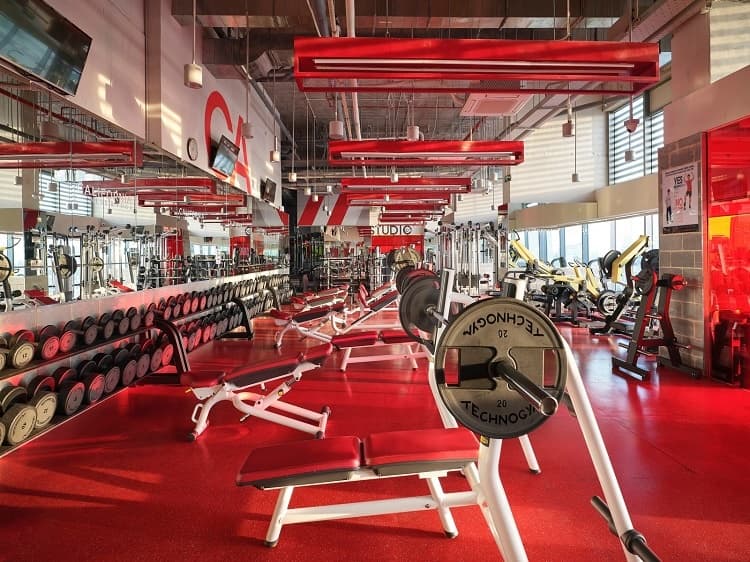 Nên Tập Ở Elite Hay California
