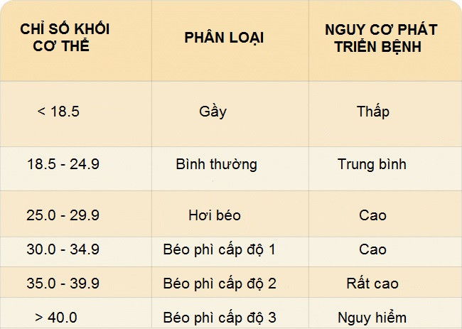 cơ thể cân đối